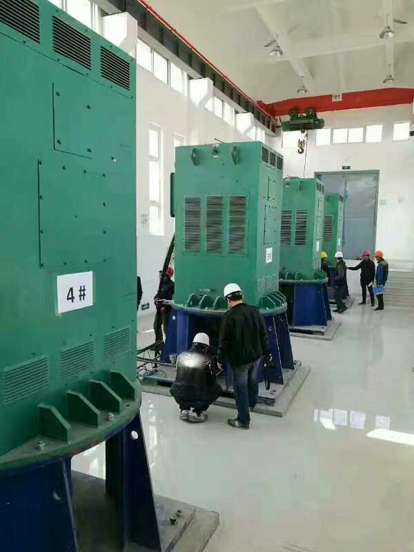 Y5004-4某污水处理厂使用我厂的立式高压电机安装现场品质保证