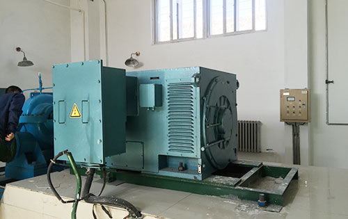 Y5004-4某水电站工程主水泵使用我公司高压电机