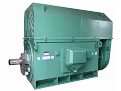 Y5004-4Y系列6KV高压电机