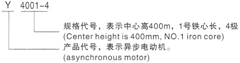 西安泰富西玛Y系列(H355-1000)高压Y5004-4三相异步电机型号说明