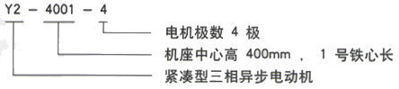 YR系列(H355-1000)高压Y5004-4三相异步电机西安西玛电机型号说明